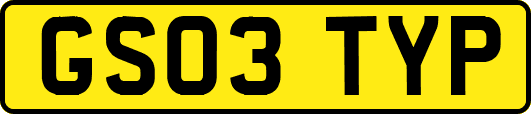 GS03TYP