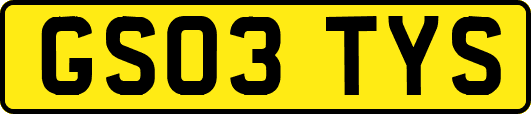 GS03TYS