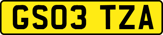 GS03TZA