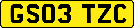 GS03TZC