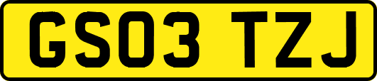 GS03TZJ