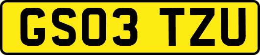 GS03TZU