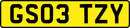 GS03TZY