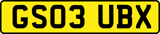 GS03UBX