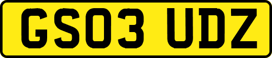GS03UDZ