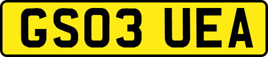 GS03UEA