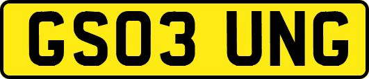 GS03UNG