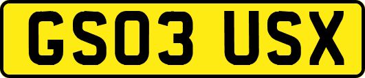 GS03USX