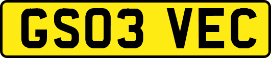 GS03VEC