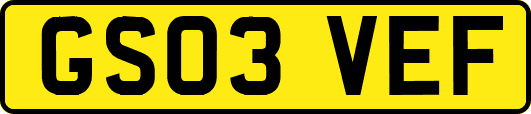GS03VEF