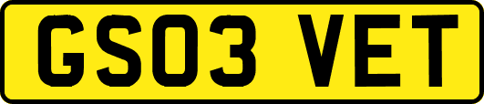 GS03VET