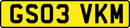 GS03VKM