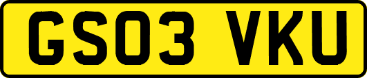 GS03VKU