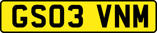 GS03VNM