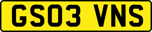 GS03VNS