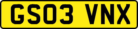 GS03VNX
