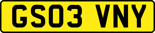 GS03VNY