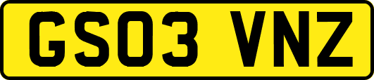 GS03VNZ