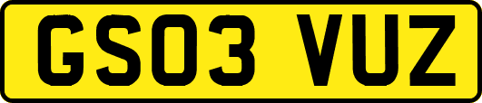 GS03VUZ