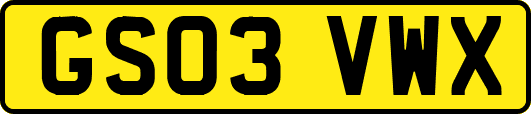 GS03VWX
