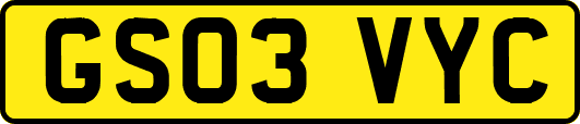 GS03VYC