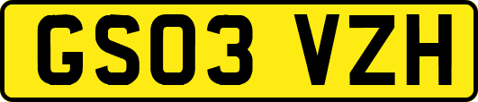 GS03VZH