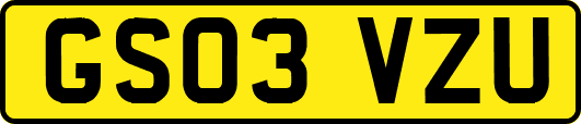 GS03VZU