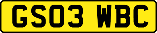 GS03WBC