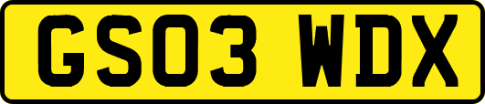 GS03WDX