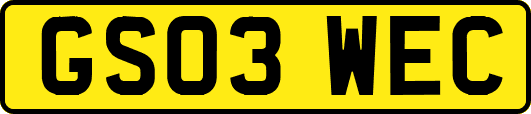 GS03WEC