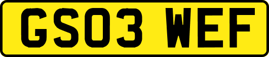 GS03WEF