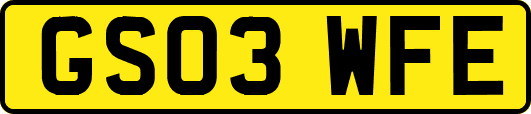 GS03WFE