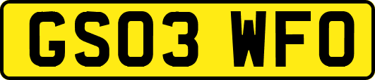GS03WFO