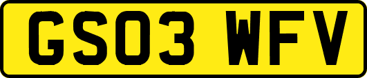 GS03WFV