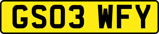 GS03WFY