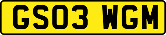 GS03WGM