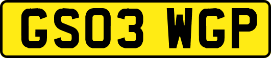 GS03WGP