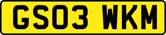GS03WKM