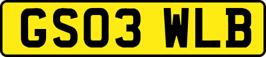 GS03WLB