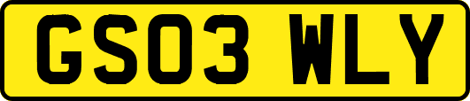 GS03WLY