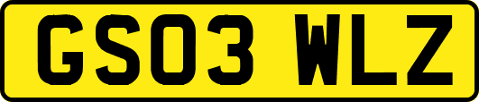 GS03WLZ