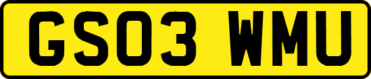 GS03WMU