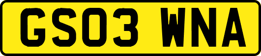 GS03WNA