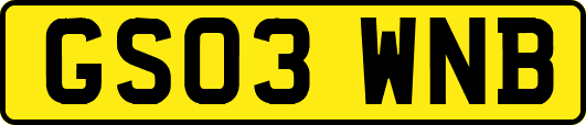 GS03WNB