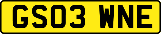 GS03WNE