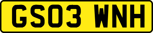 GS03WNH