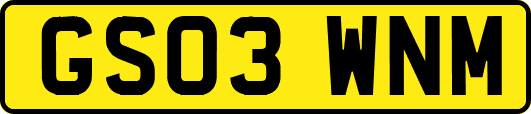 GS03WNM