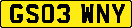 GS03WNY