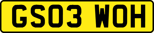 GS03WOH