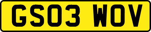 GS03WOV